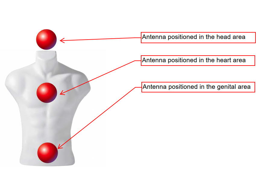 Internal antenna measurement positions inside the mannequin: head, chest, and pelvic area